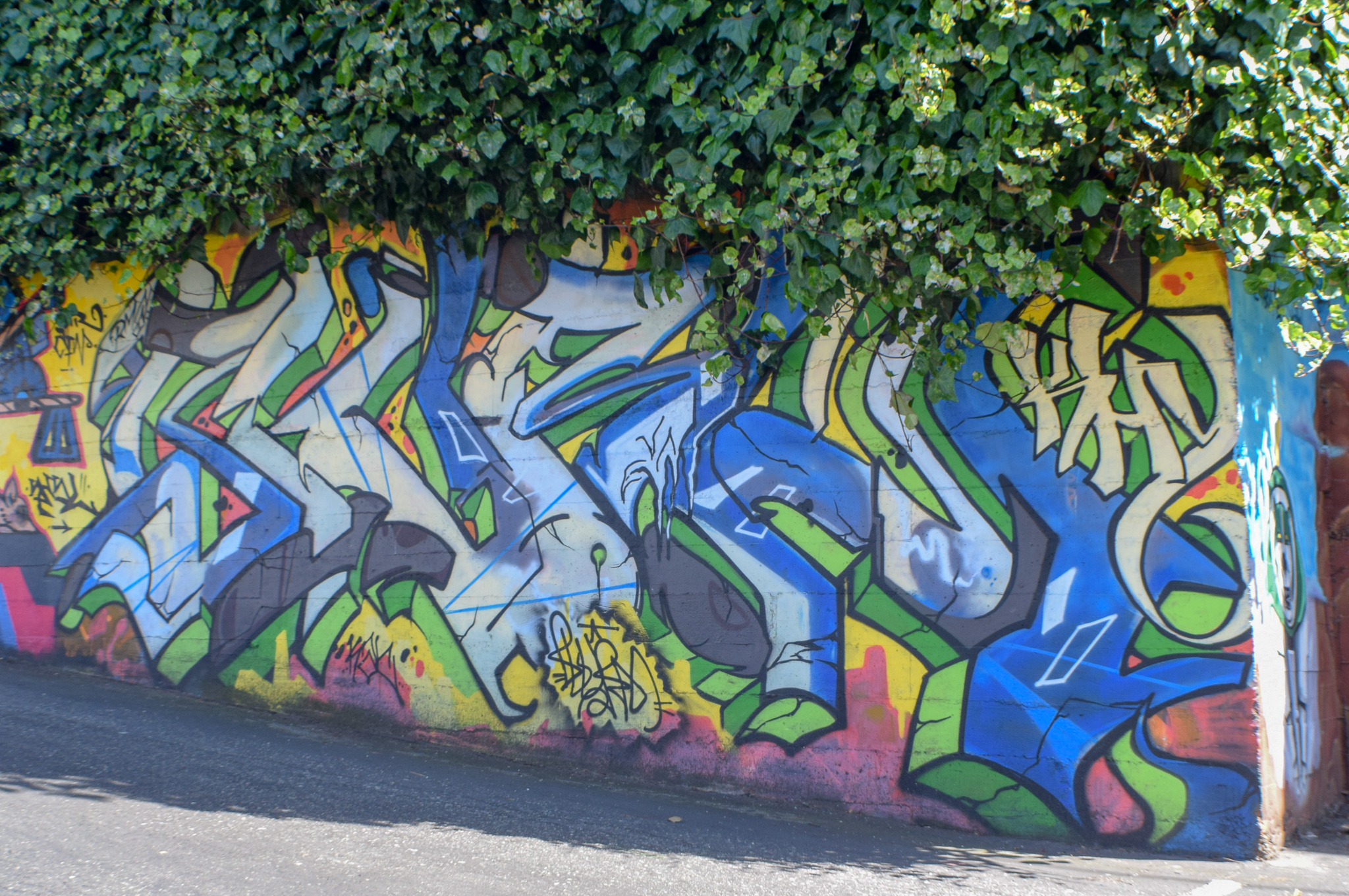 DSC_0687.jpg