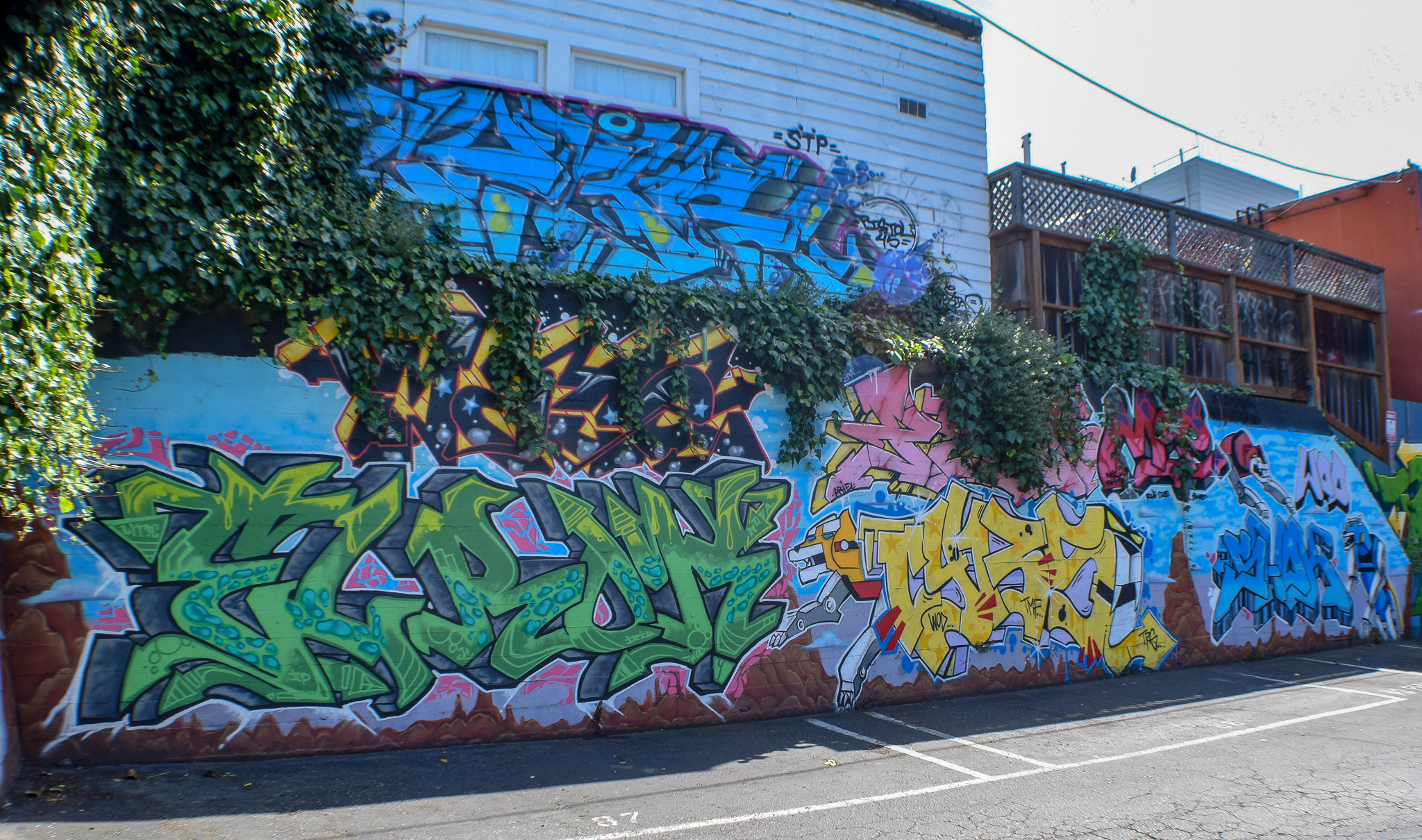 DSC_0688.jpg