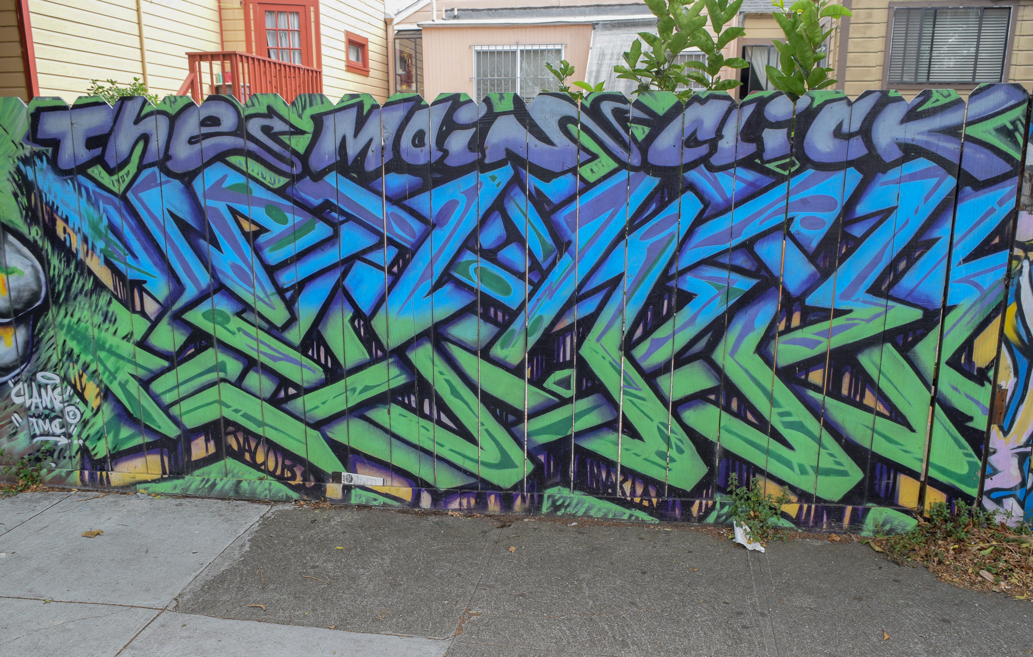 DSC_0865.jpg