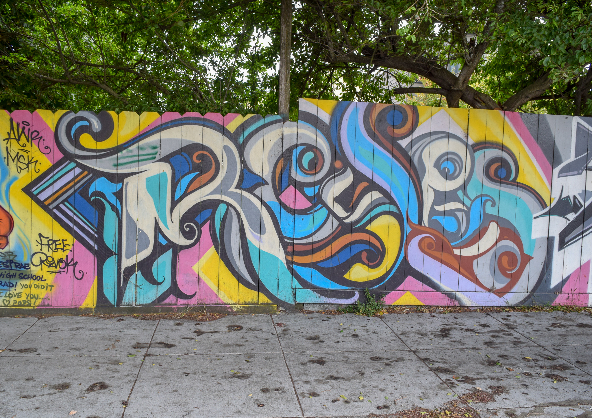 DSC_0884.jpg