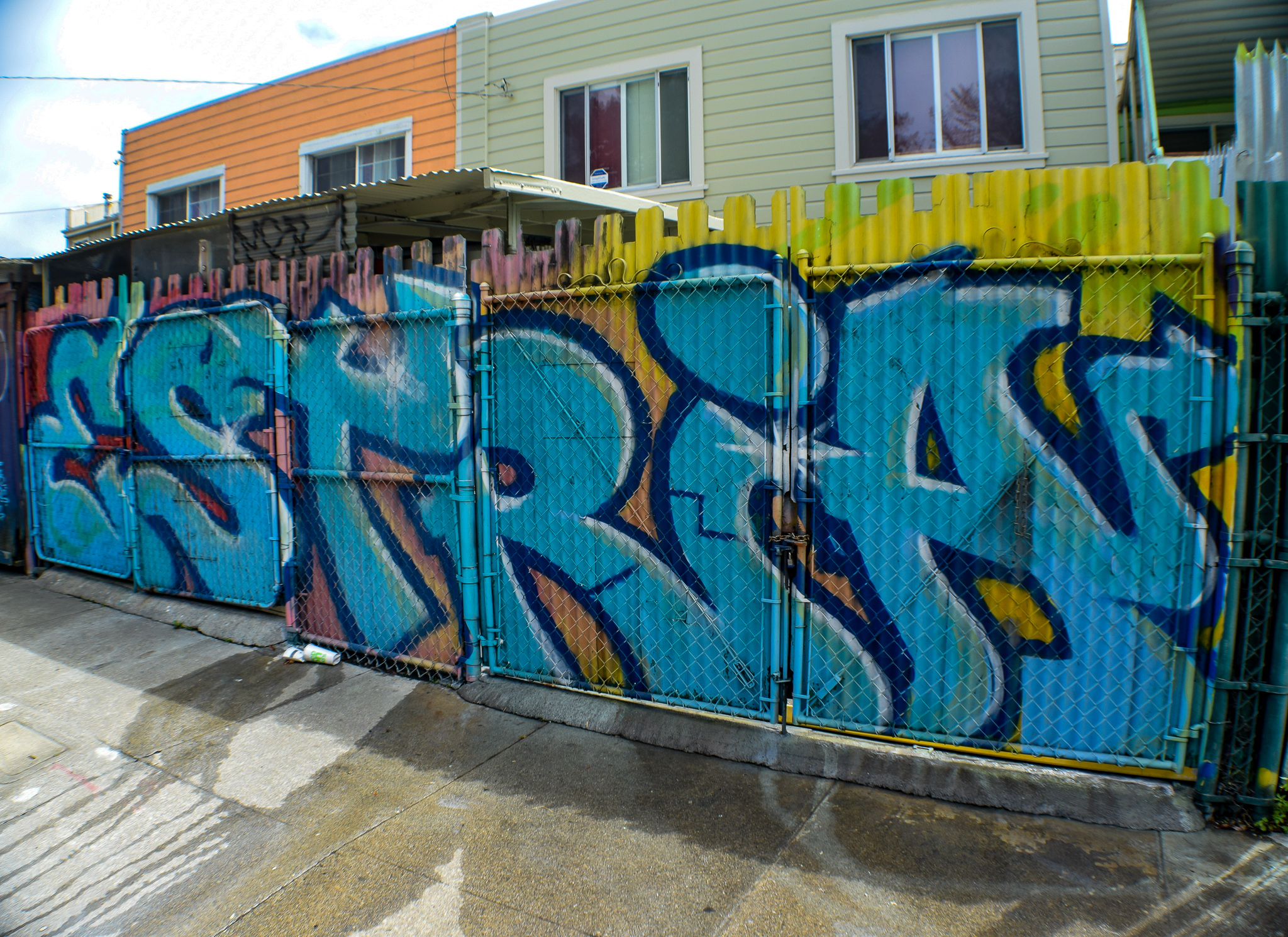 DSC_0900.jpg