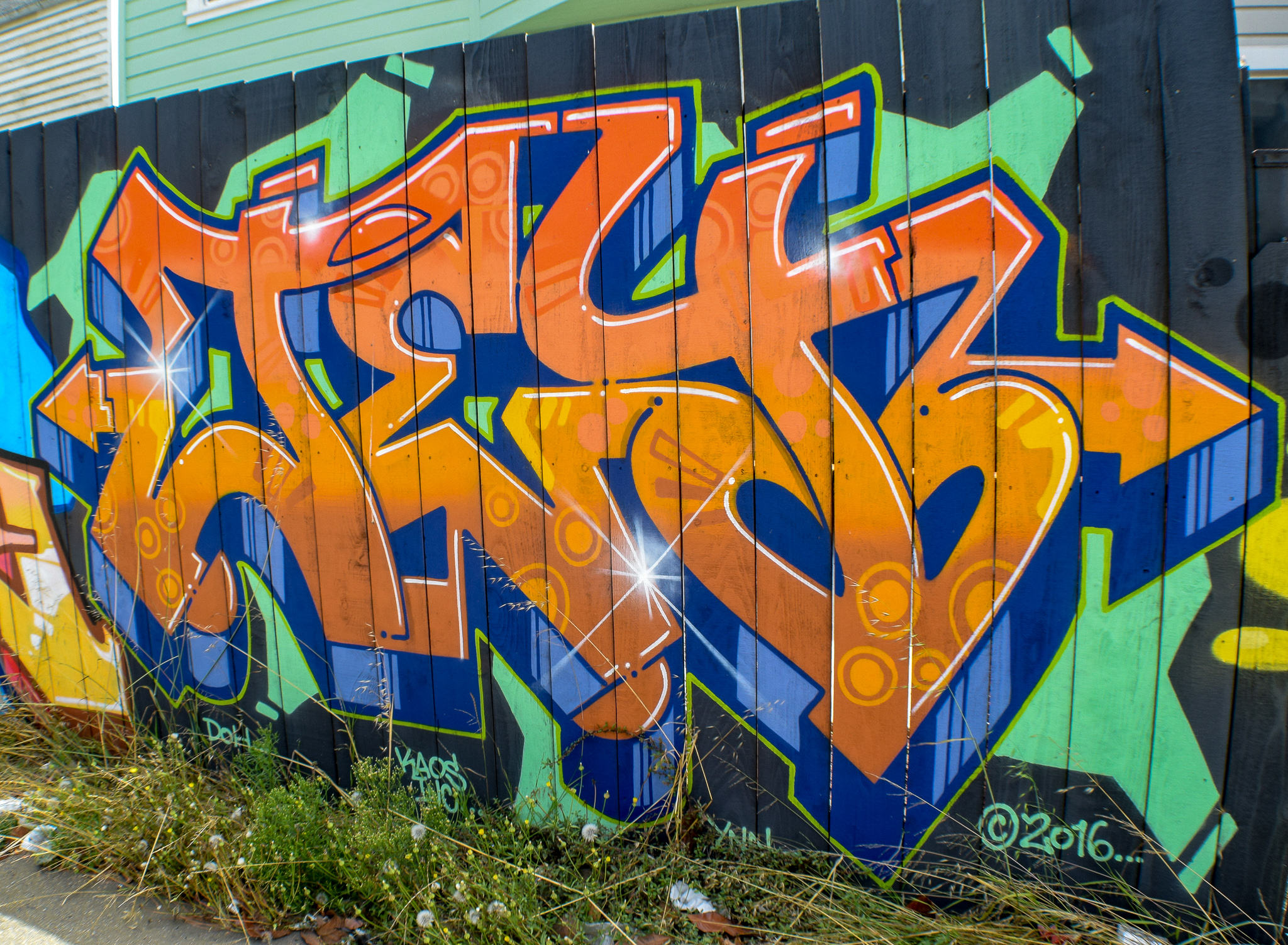 DSC_0910.jpg