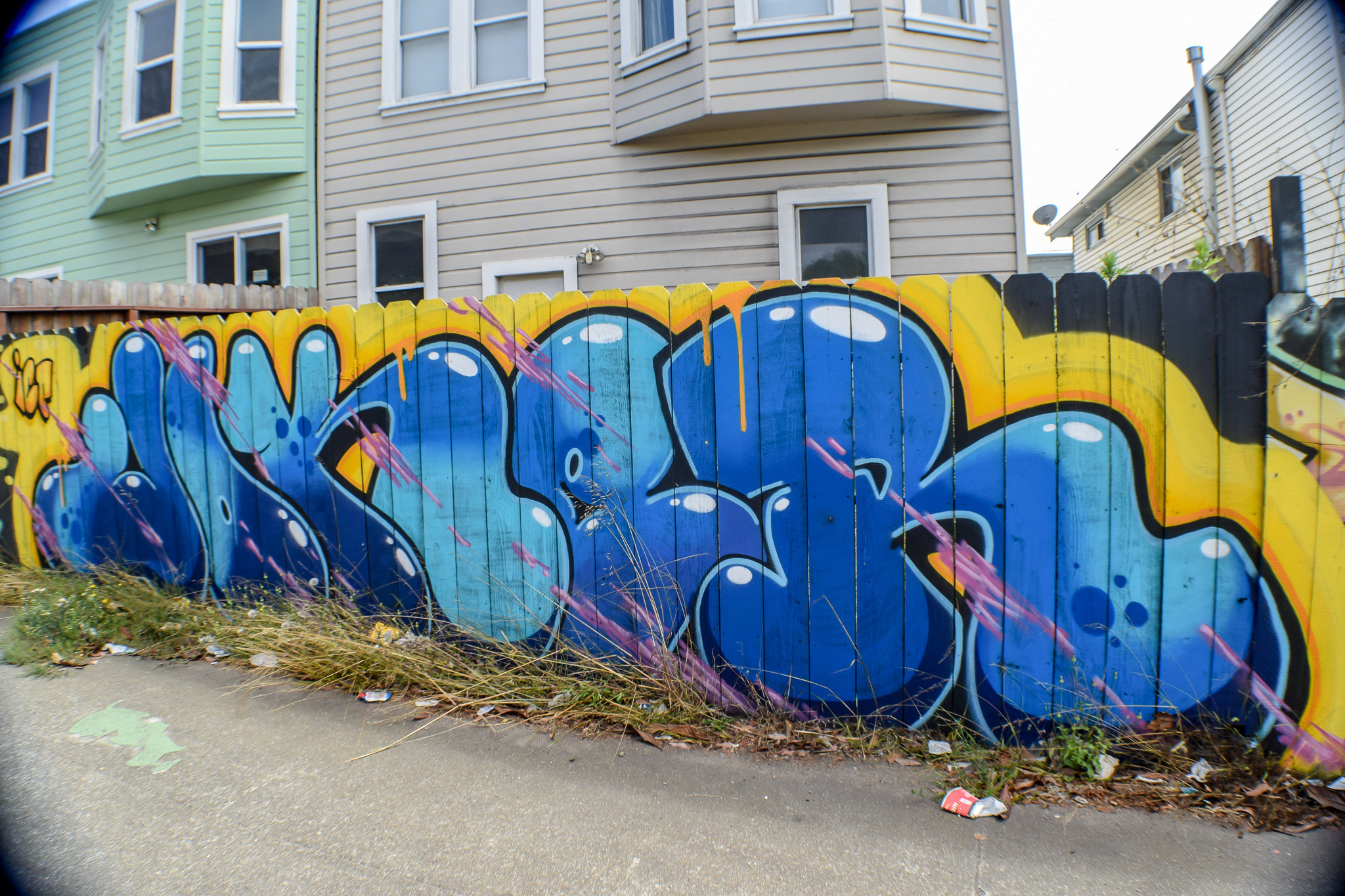 DSC_0914.jpg