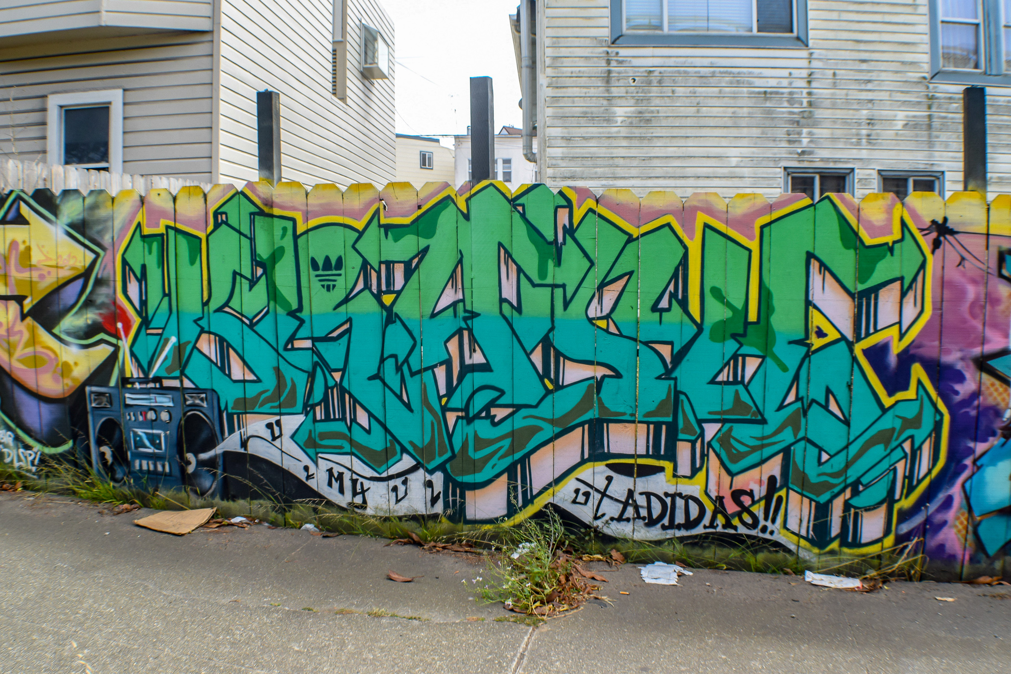 DSC_0916.jpg