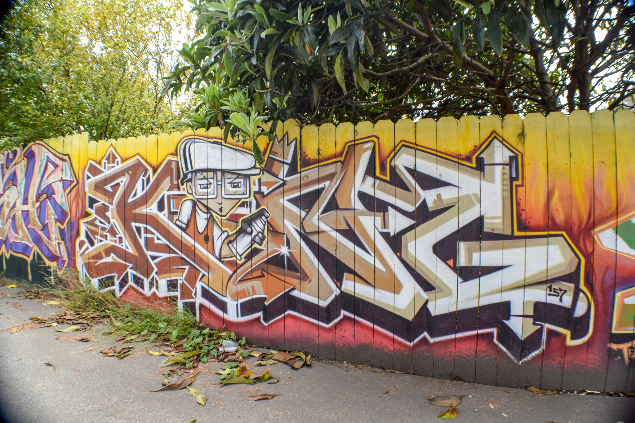 DSC_0919.jpg