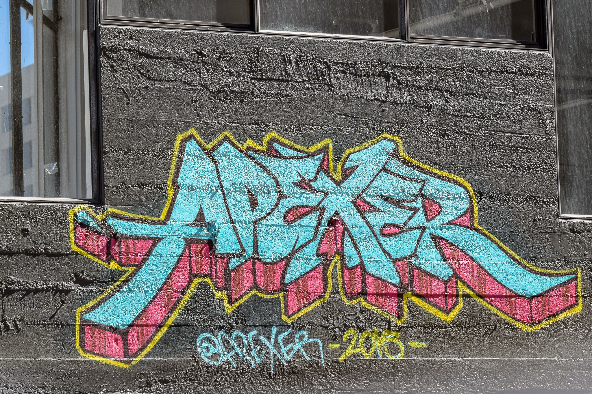 DSC_0937.jpg