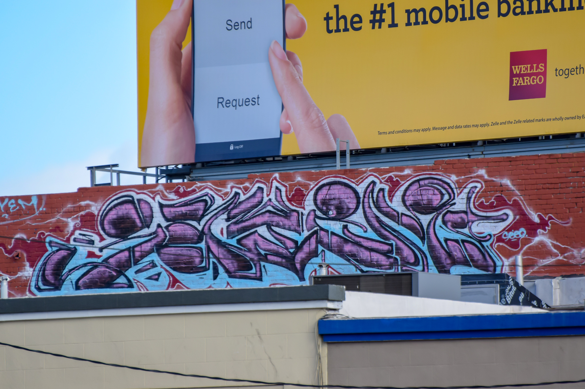 DSC_0959.jpg