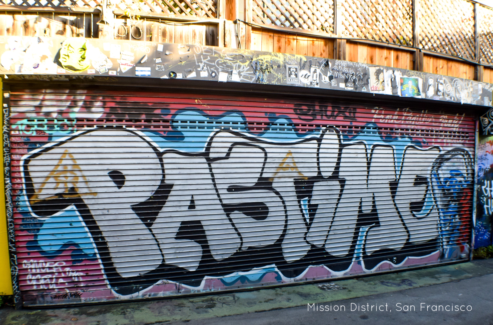 DSC_0074.jpg