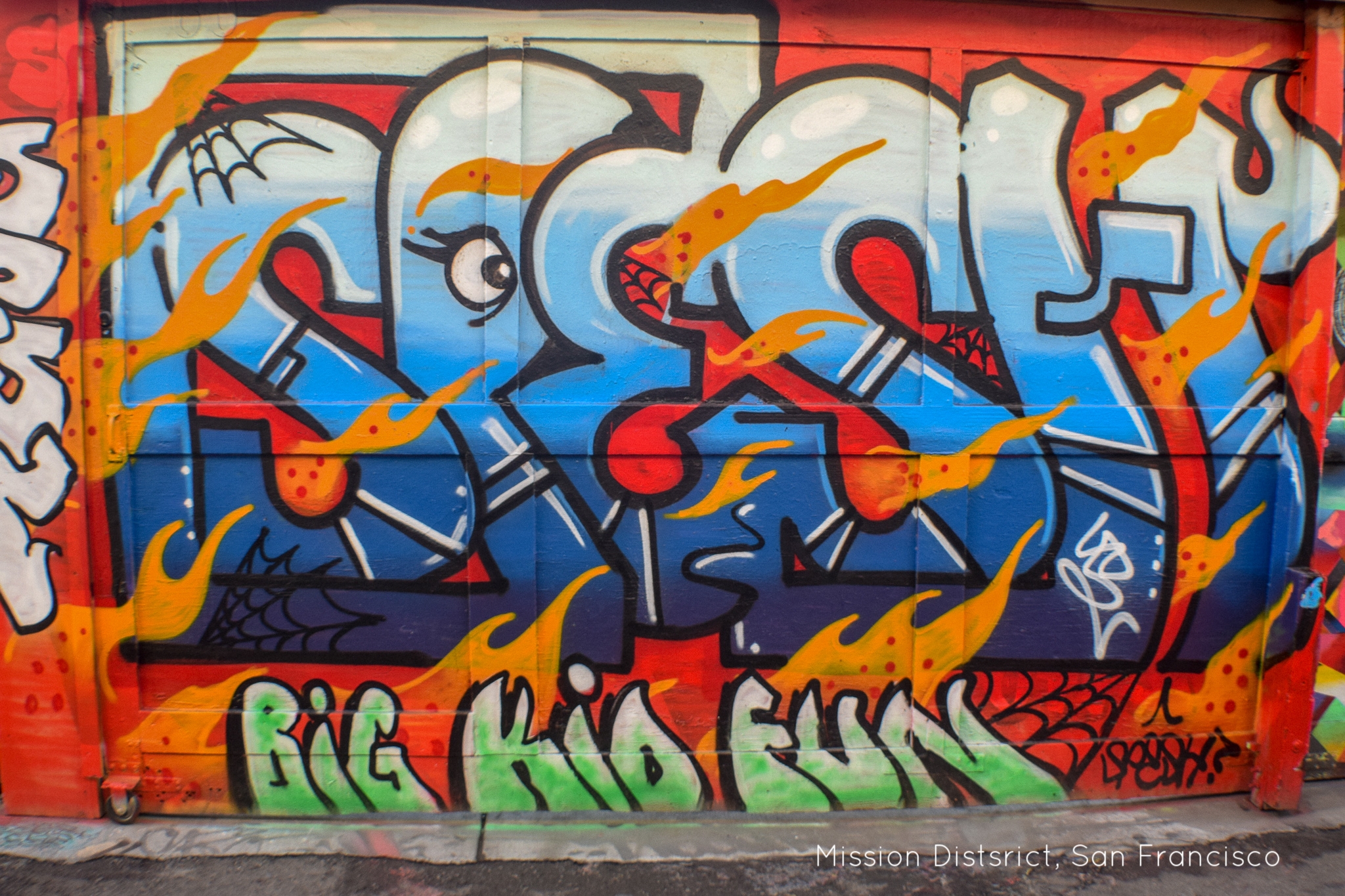 DSC_0076.jpg