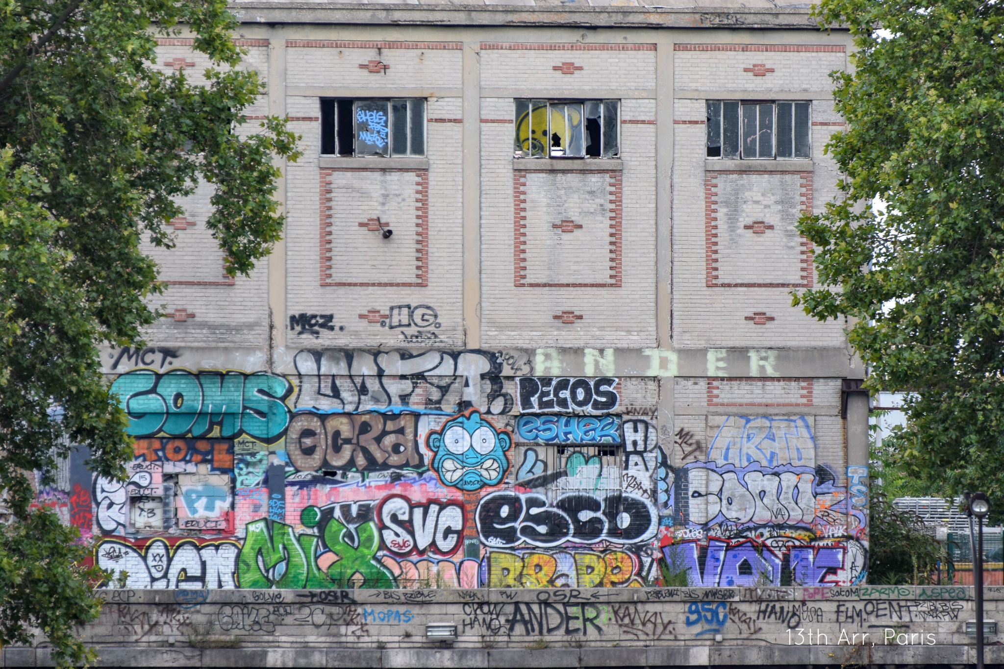 DSC_0157.jpg