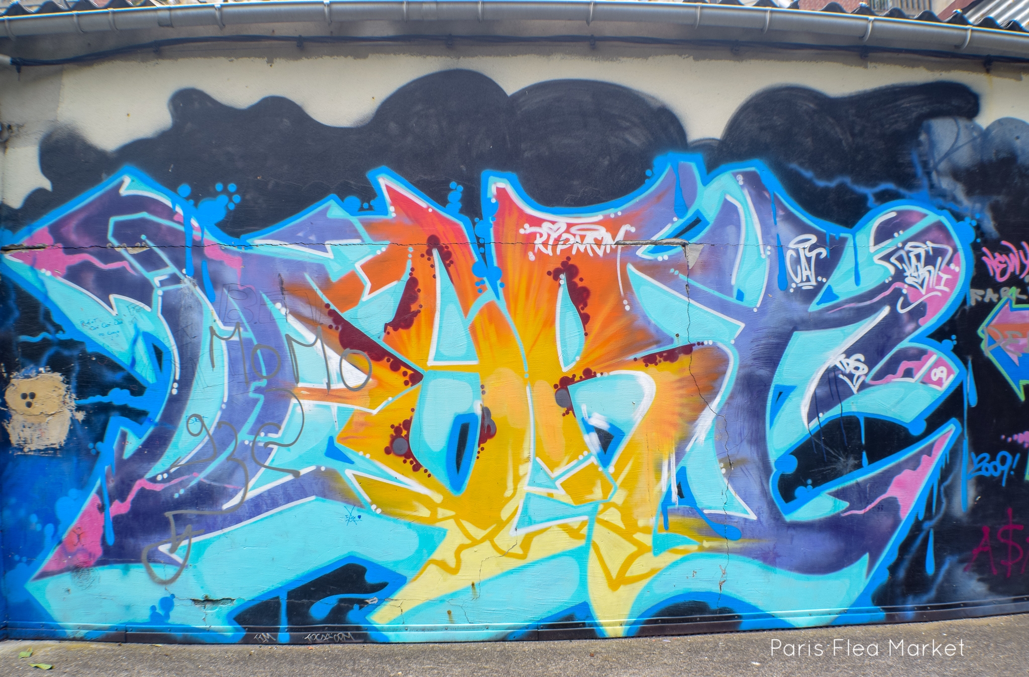 DSC_0196.jpg