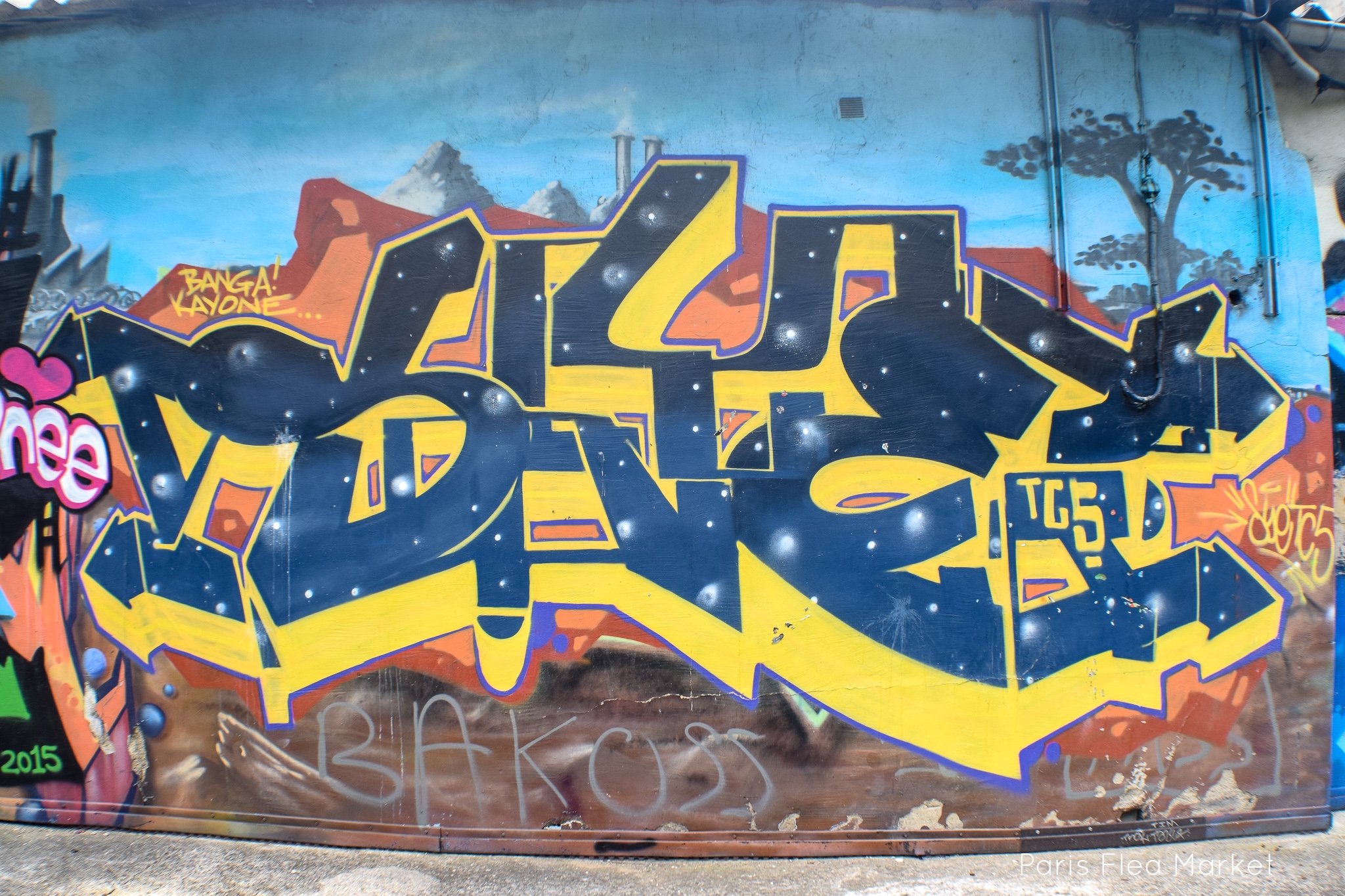 DSC_0197.jpg