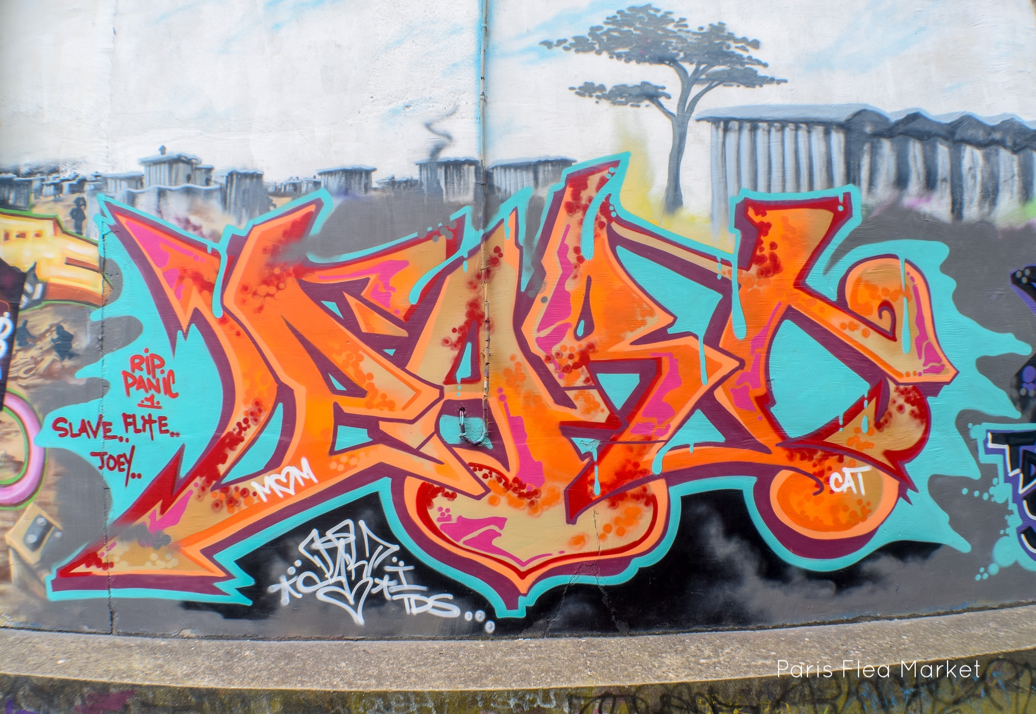 DSC_0200.jpg