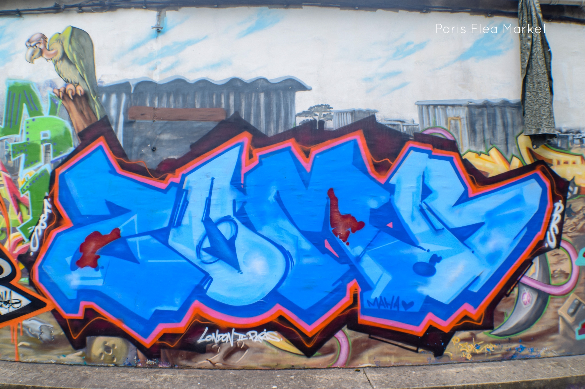 DSC_0201.jpg