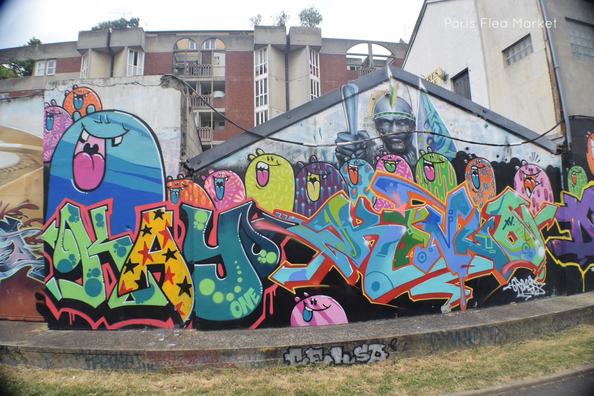 DSC_0205.jpg