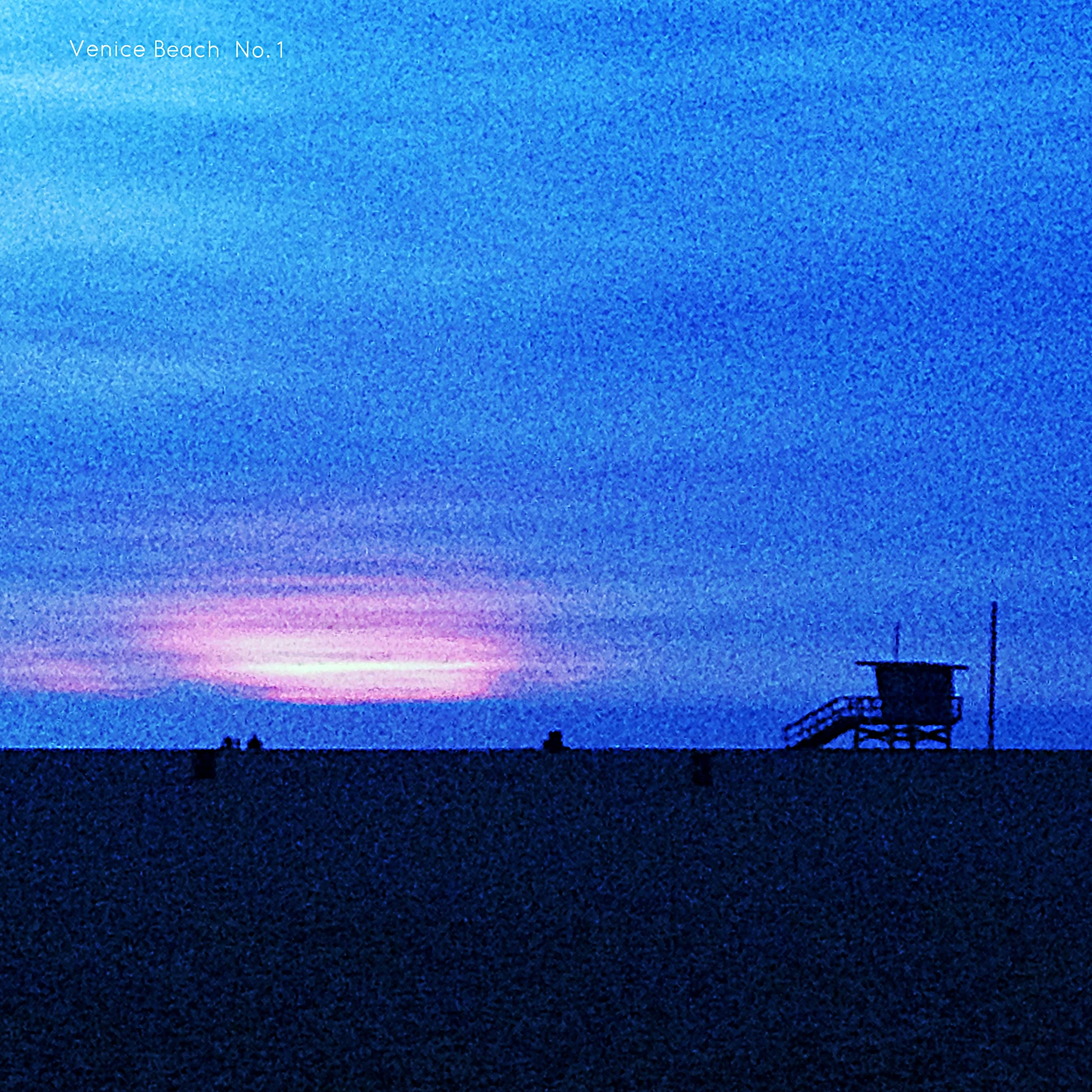 Venice Beach                                                    No. 1