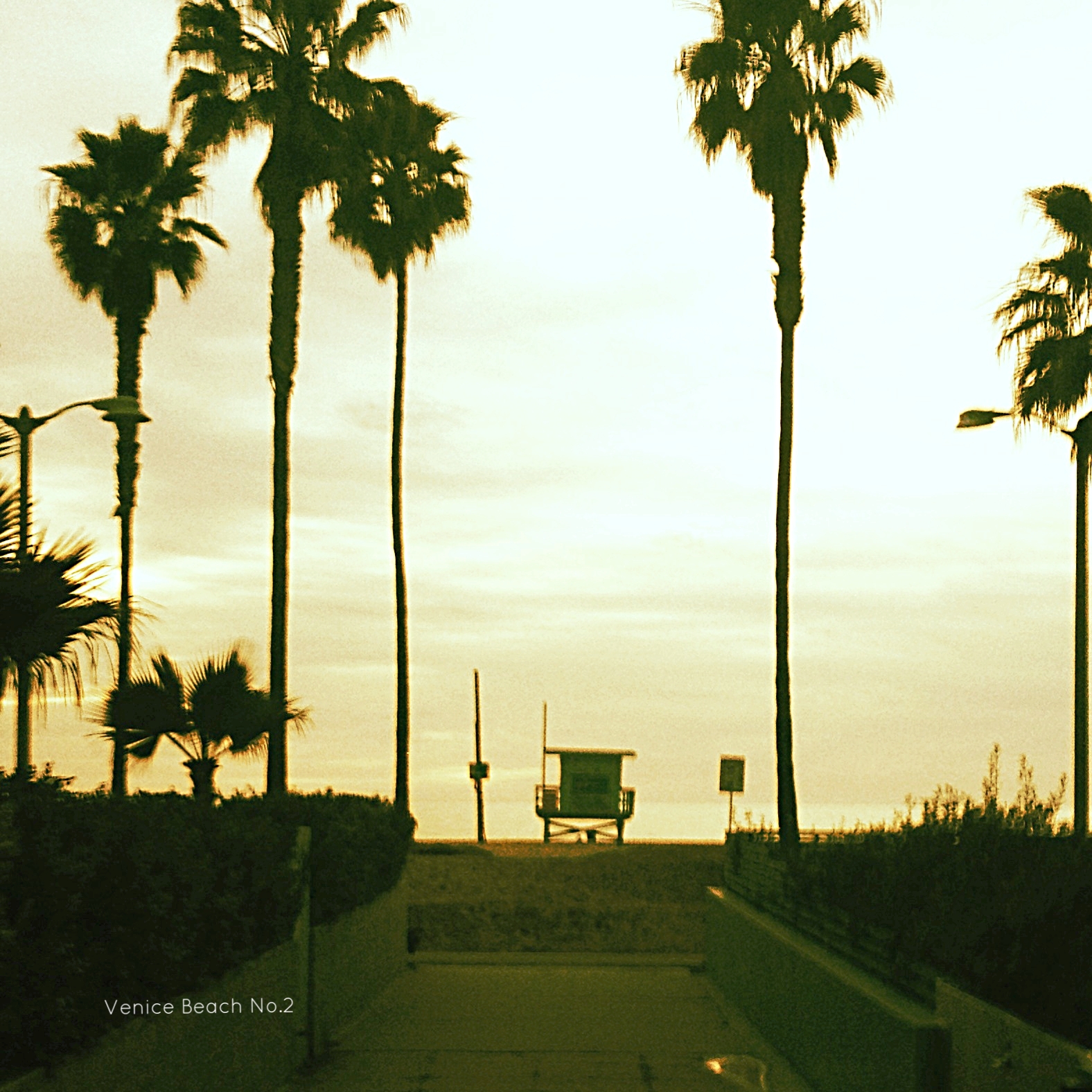 Venice Beach                                                       No.2