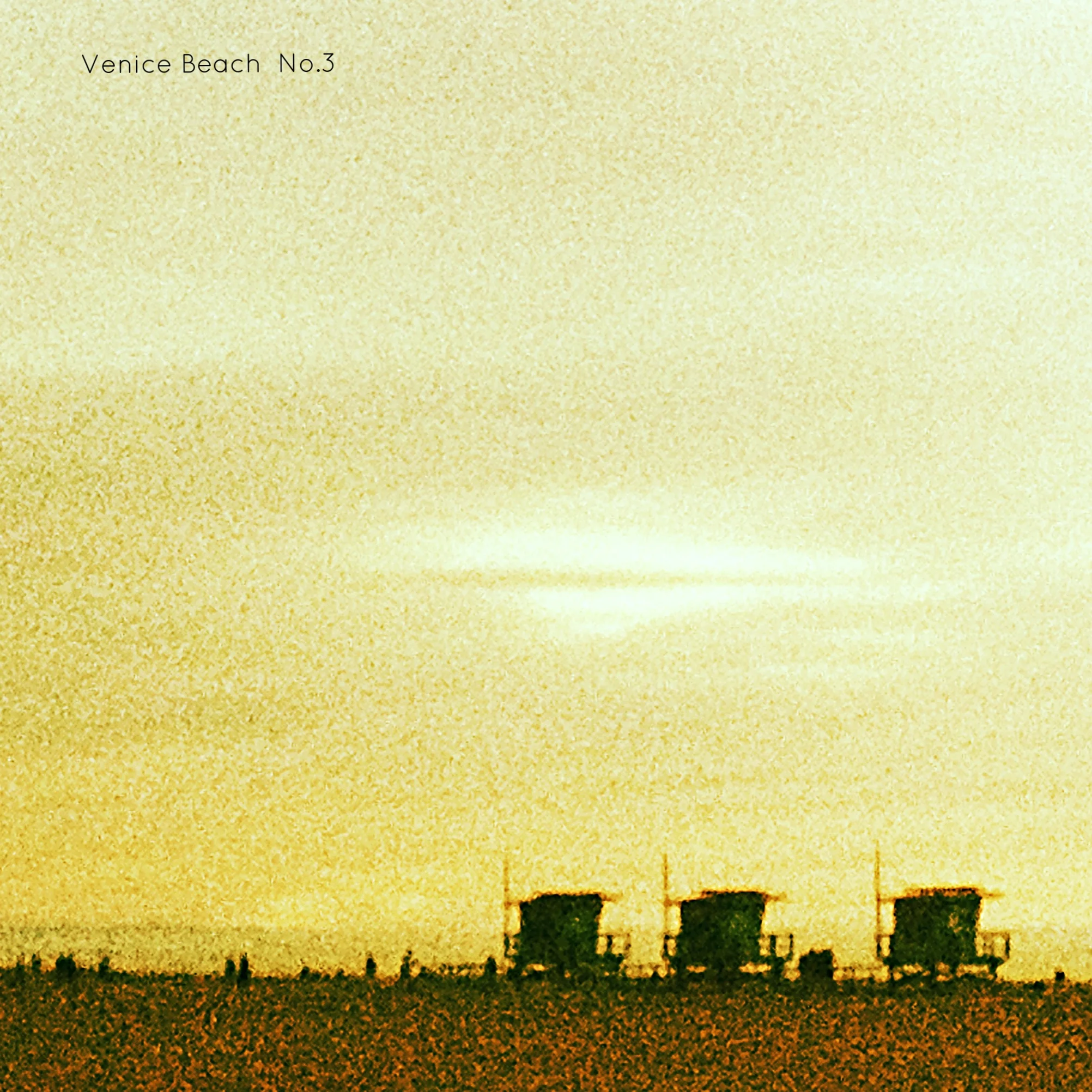 Venice Beach                                                       No.3