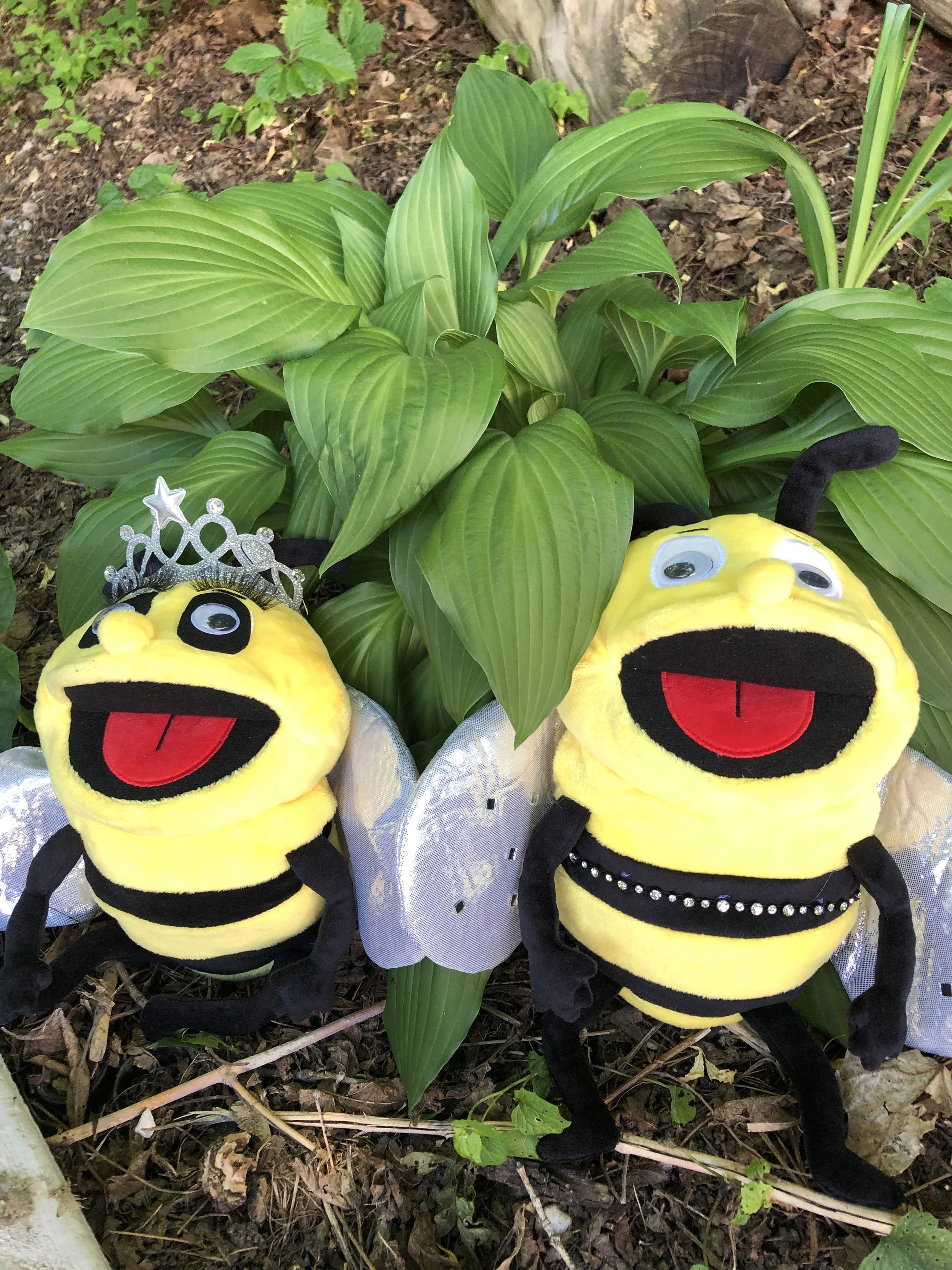 Meet your Mascots Shelbee and Bixee as they start their exciting new adventurs at the HVM