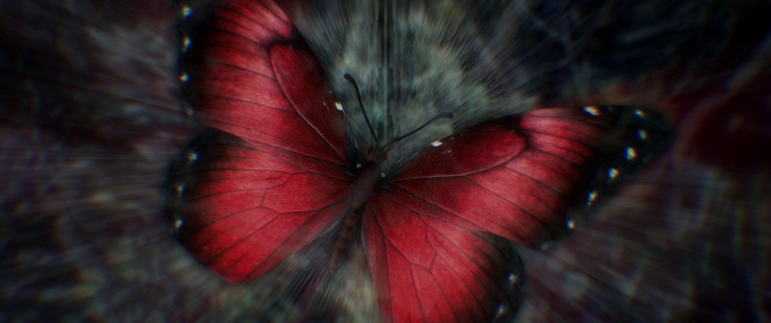 Until Dawn
