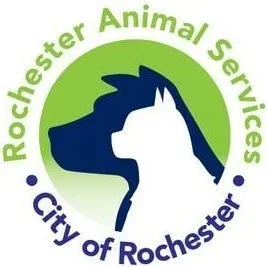 Rochester-Animal-Services_200610_174013.jpg.webp