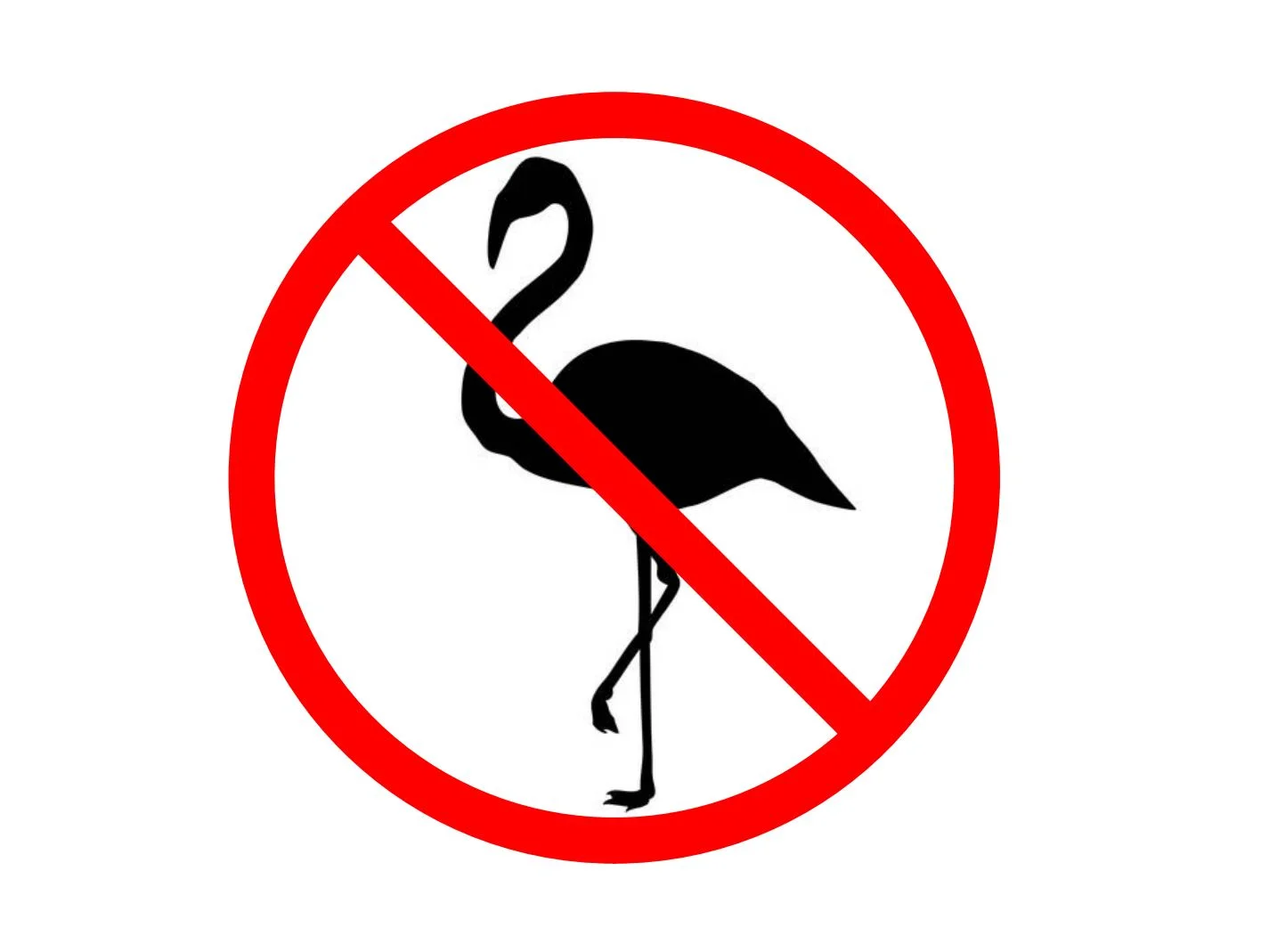 rencontre 02          Venice Biennale      Kevin O'Brien, BLAK FLAMINGO