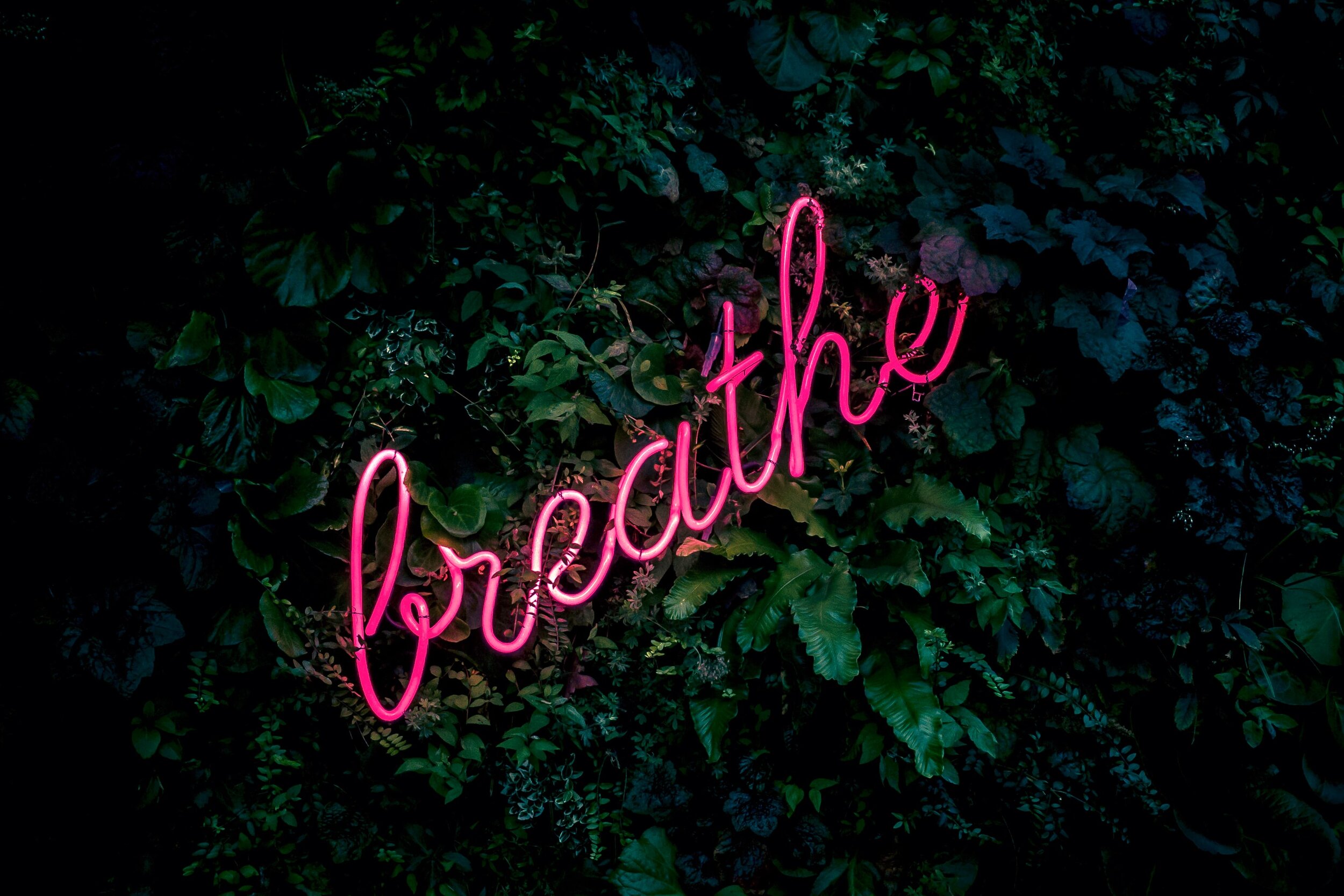 Breathing exercises for relaxation 