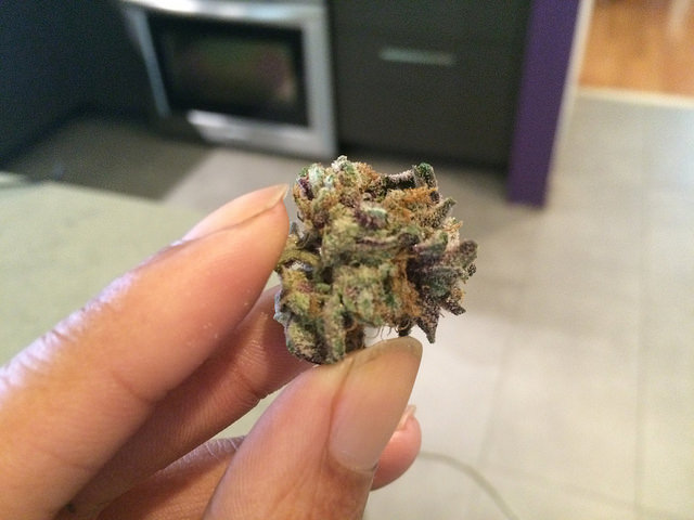 Blackberry Kush