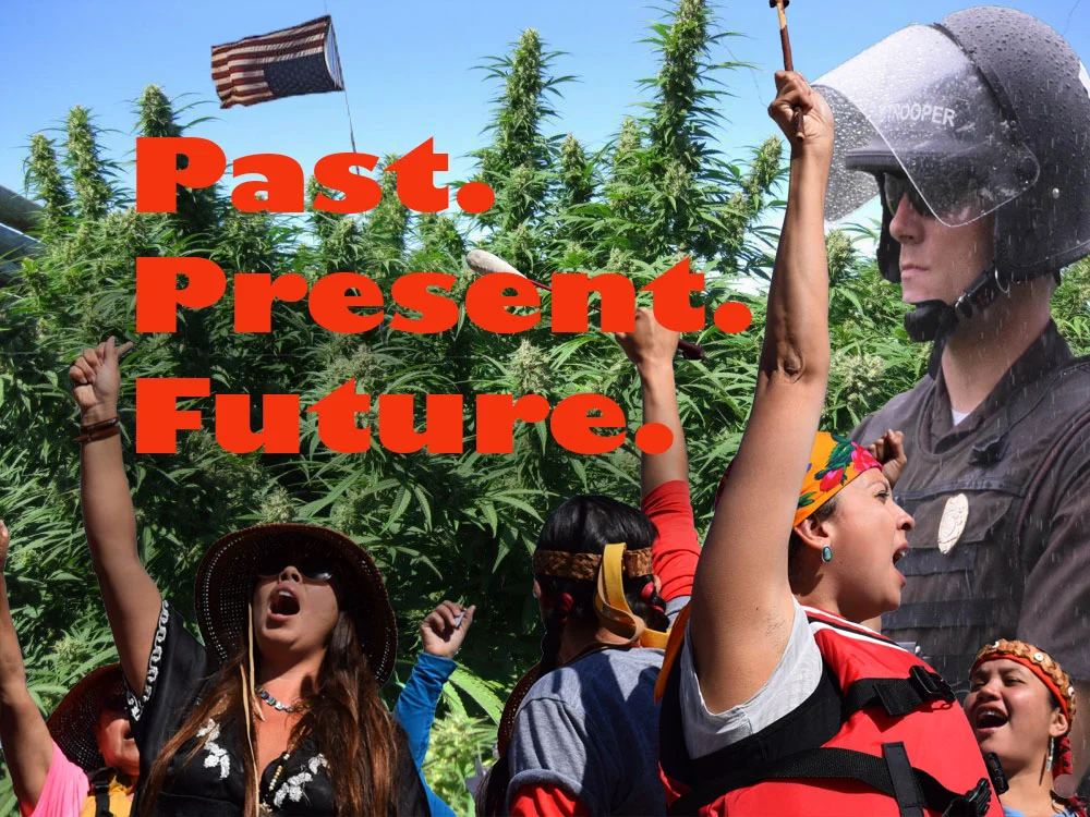 Cannabis 2.jpg