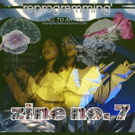 'Reprogramming' Zine Submissions Now Open!