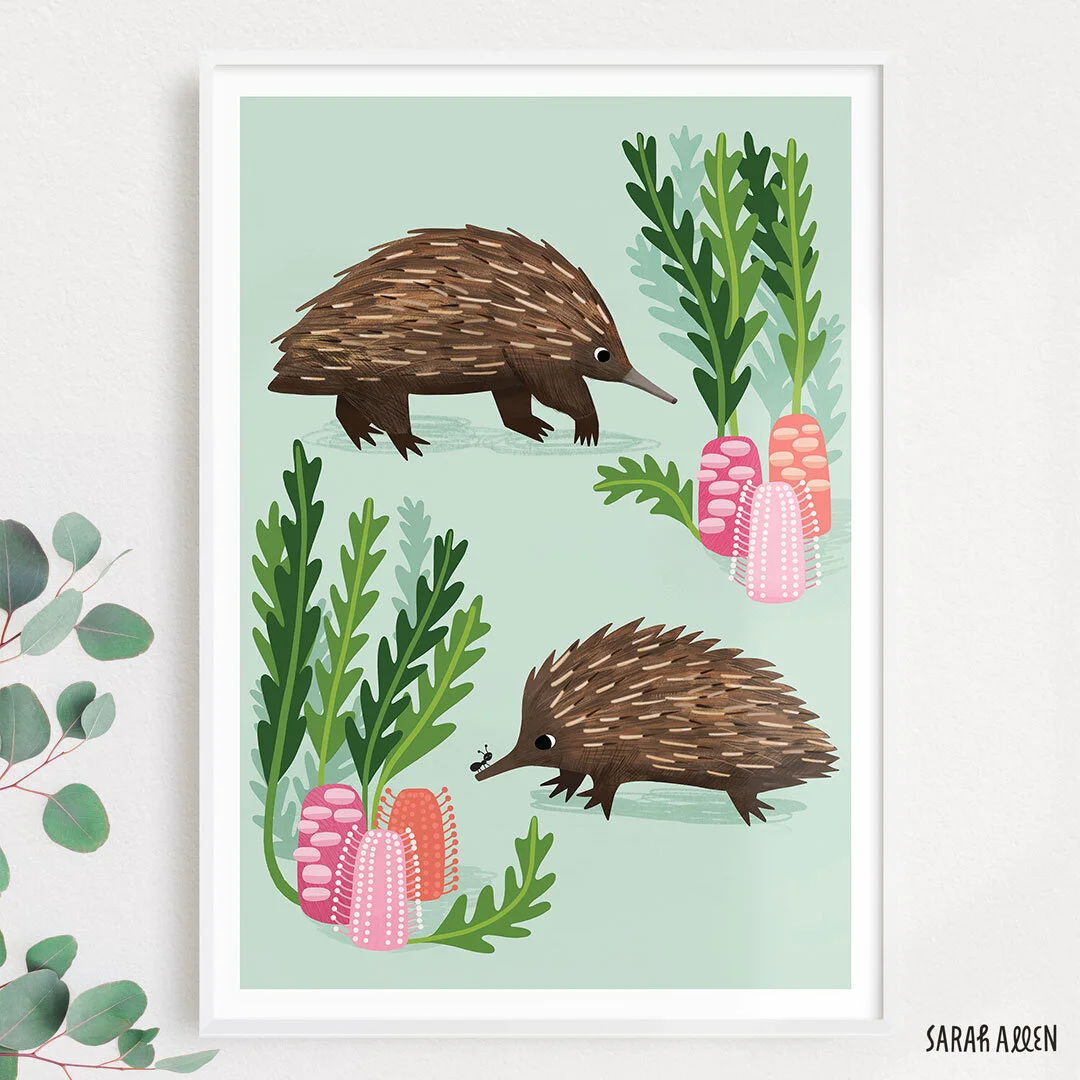 Sarah_Allen_Echidna_Art_Print_1.jpg