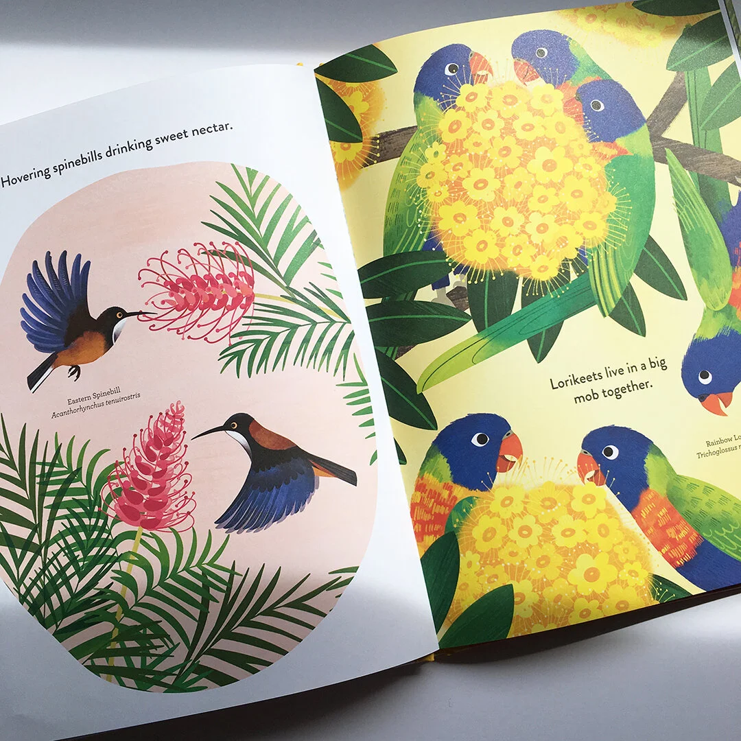 Rainbow Lorikeets from Busy Beaks Sarah Allen