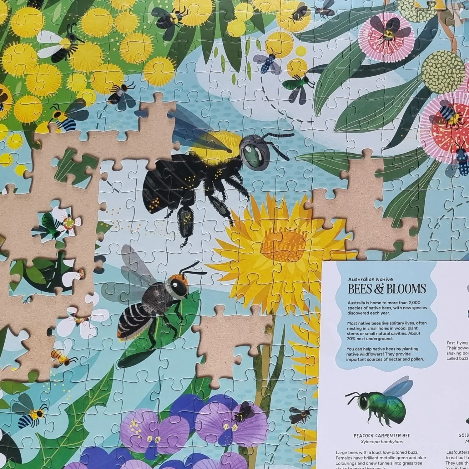 BEES-BLOOMS-Puzzle-pieces.jpg