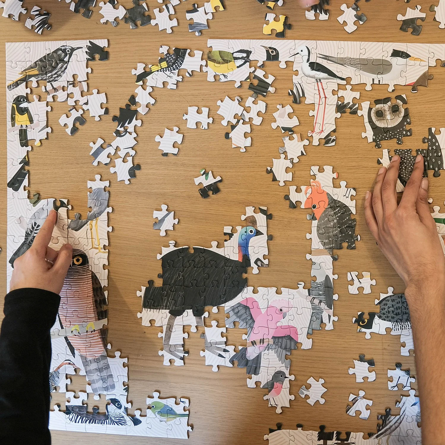 BIRDS-Puzzle-500-piece-start.jpg