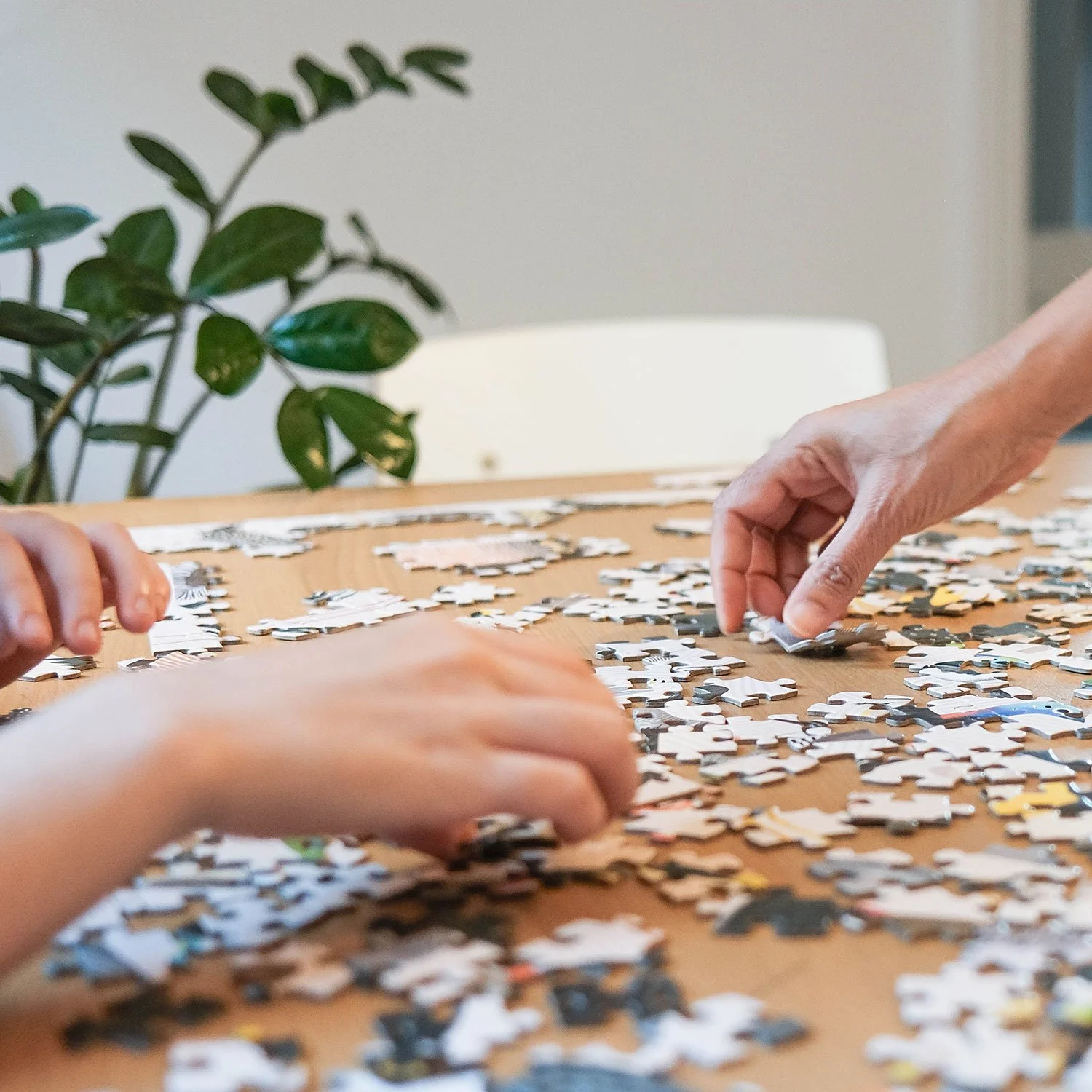 BIRDS-Puzzle-500-piece-jigsaw.jpg