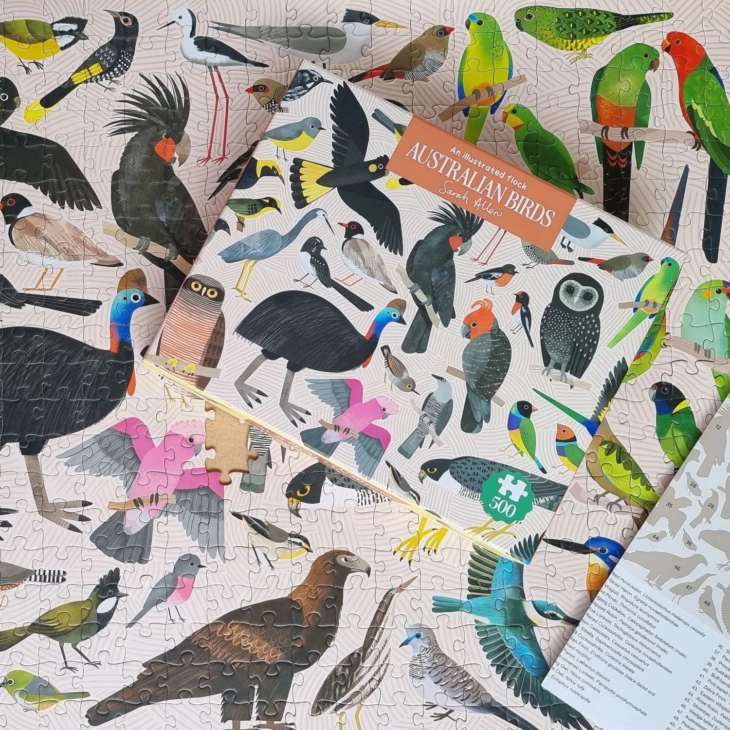 BIRDS-Puzzle-with-giude.jpg