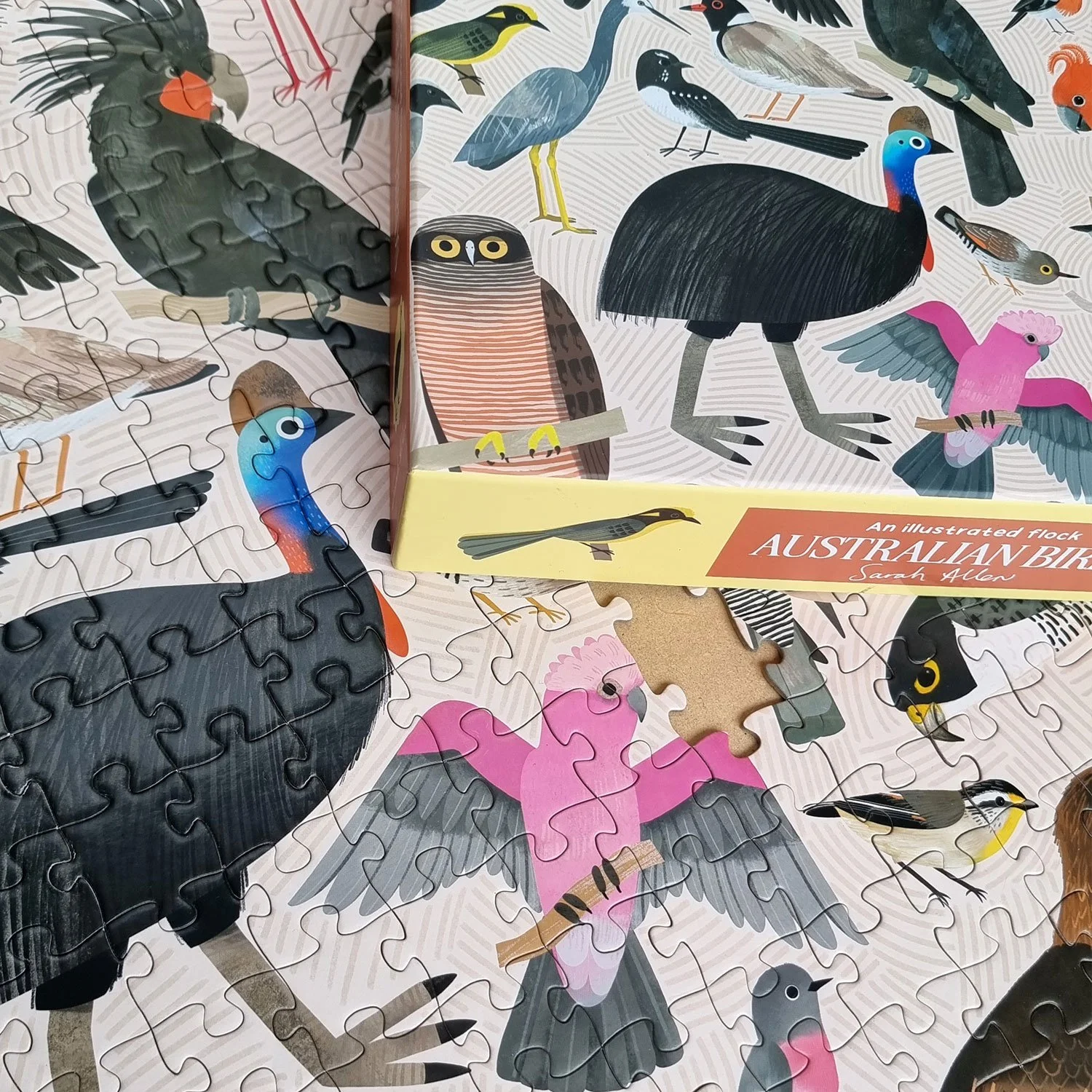 BIRDS-Puzzle-500-cassowary.jpg