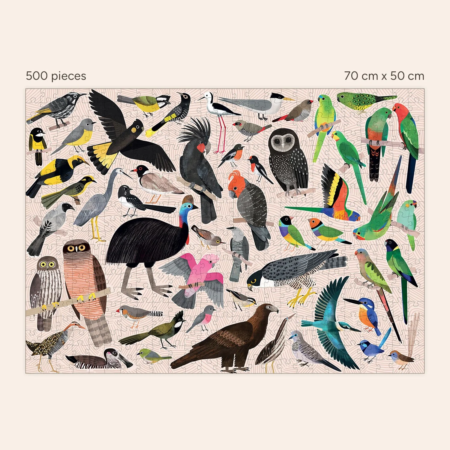 AUSTRALIAN-BIRDS-Puzzle-Sarah_Allen.jpg