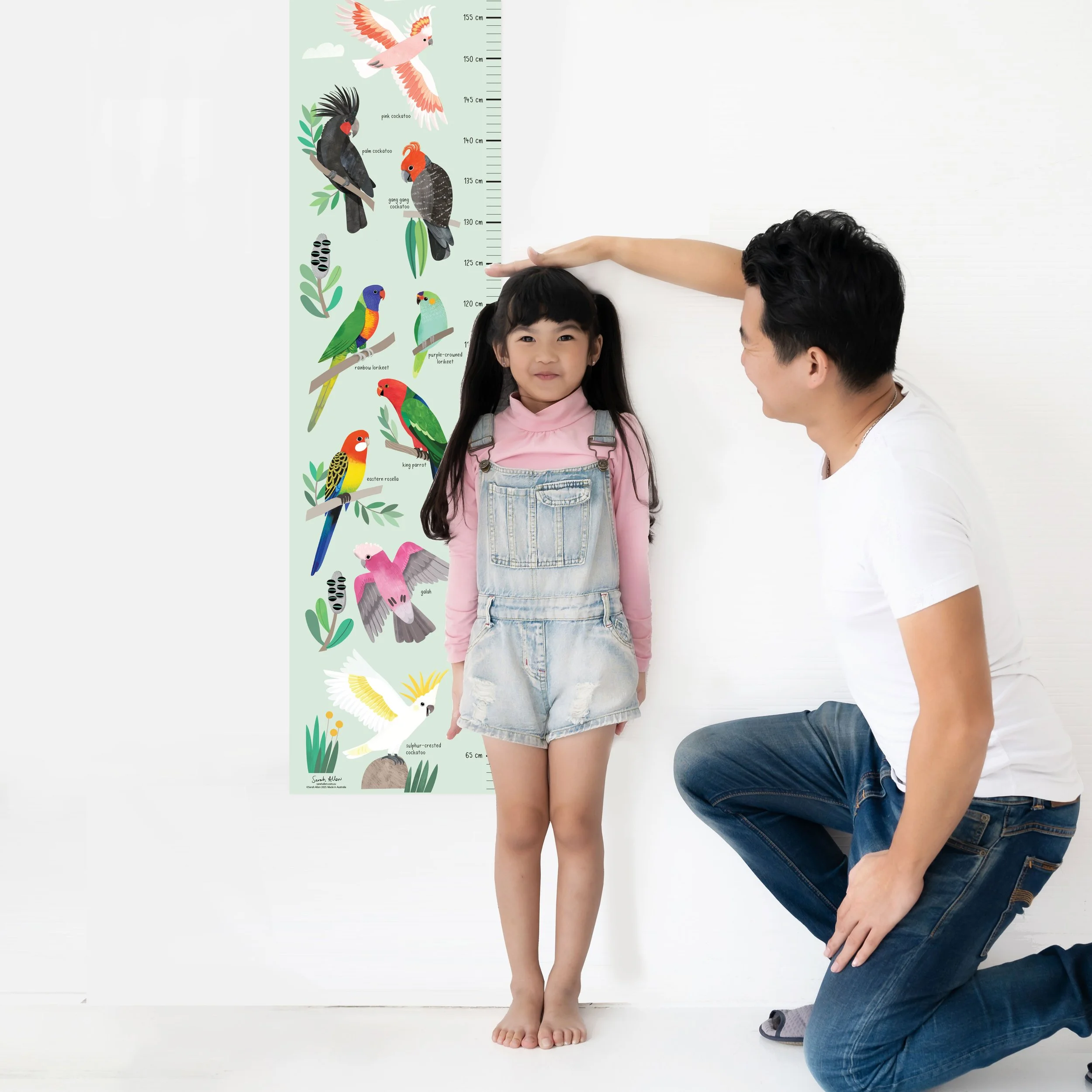 Height-Chart-Parrots-Cockatoos-Sarah-Allen.jpg