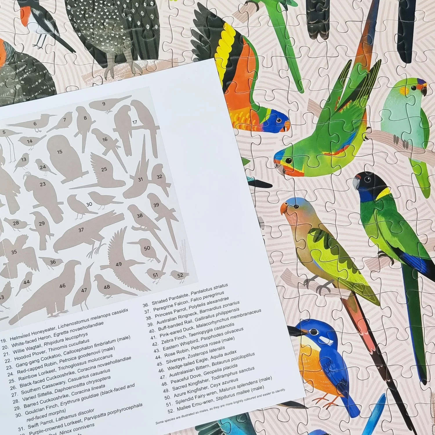 BIRDS-Puzzle-500-guide.jpg