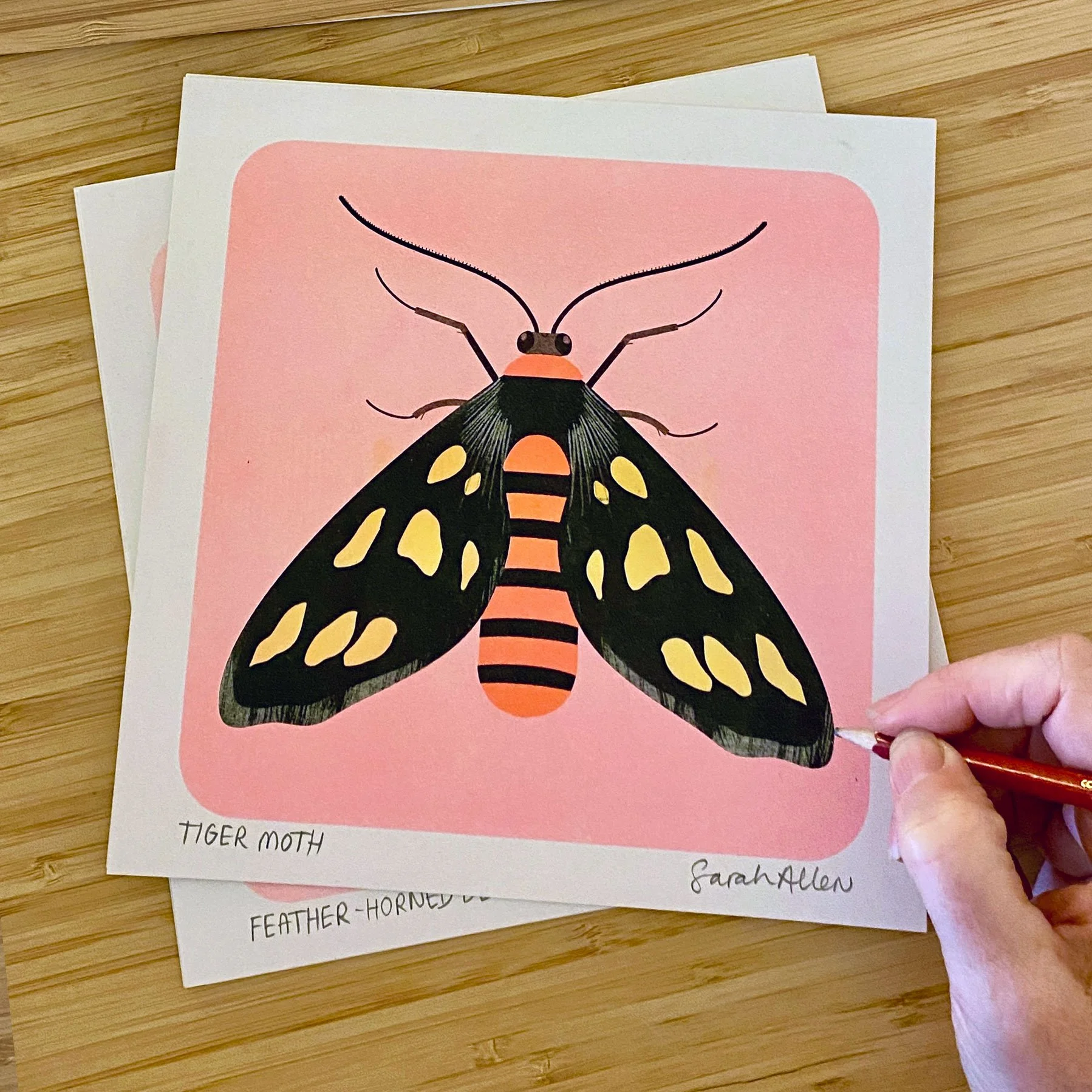 Tiger Moth Risograph Art Print
