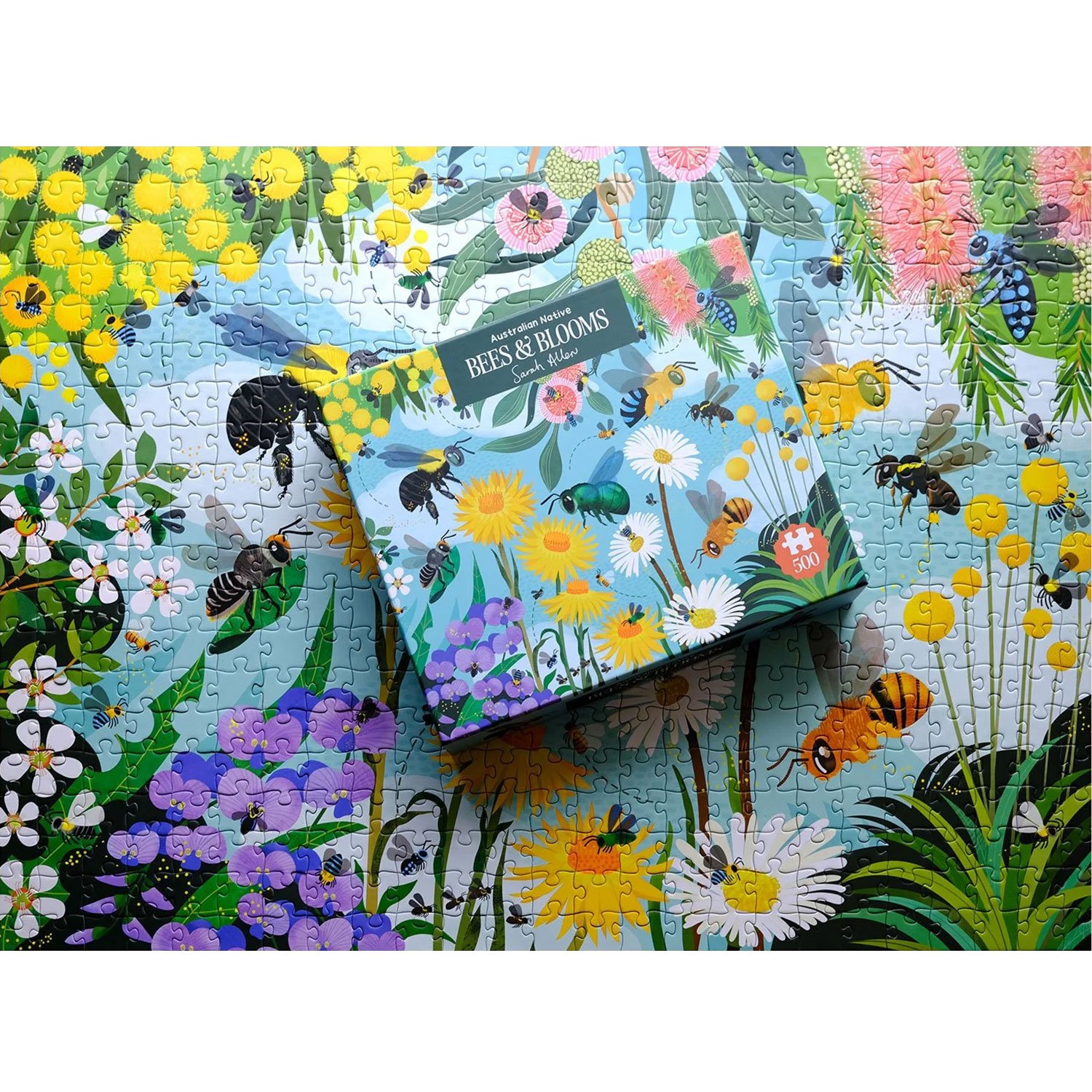 Sarah_Allen_Australian_Native_Bees.jpg