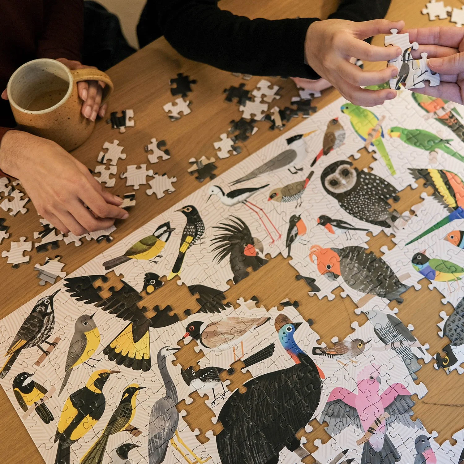BIRDS-Puzzle-500-piece-pardalote.jpg