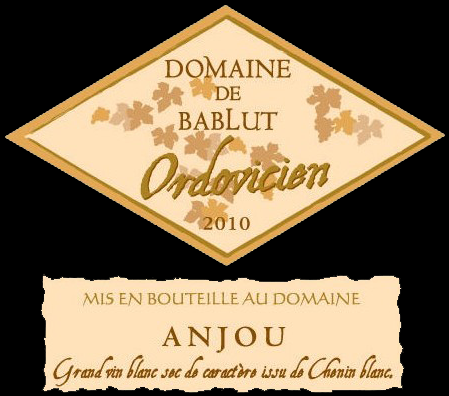 etiquette-ordovicien.png