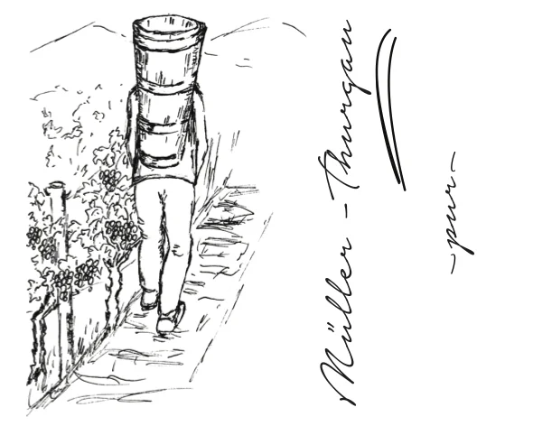 muller_thurgau.jpg