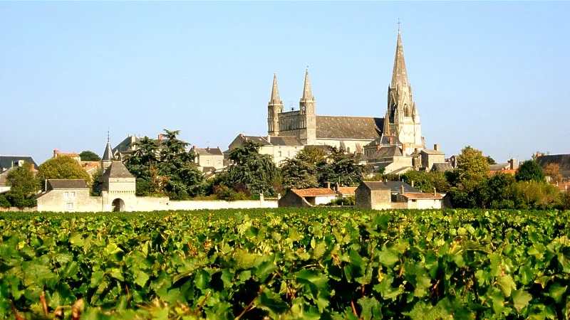 Château Tour Grise