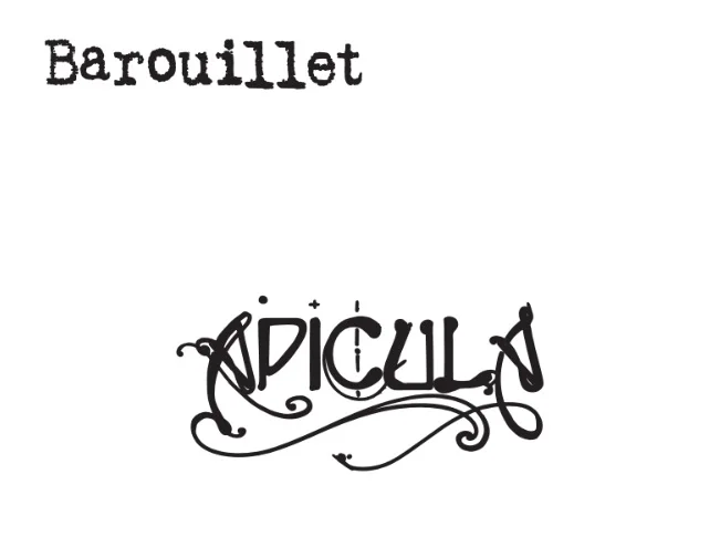 2012 VDF - Apicula