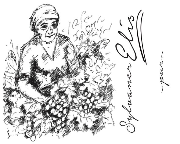 2018 Sylvaner Elis Pur