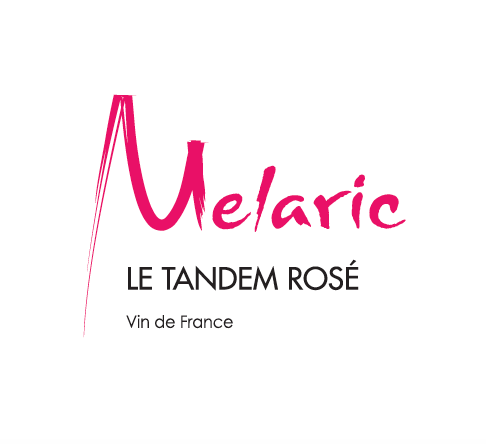 2019 AOC Saumur Le Puy-Notre-Dame - Tandem Rose