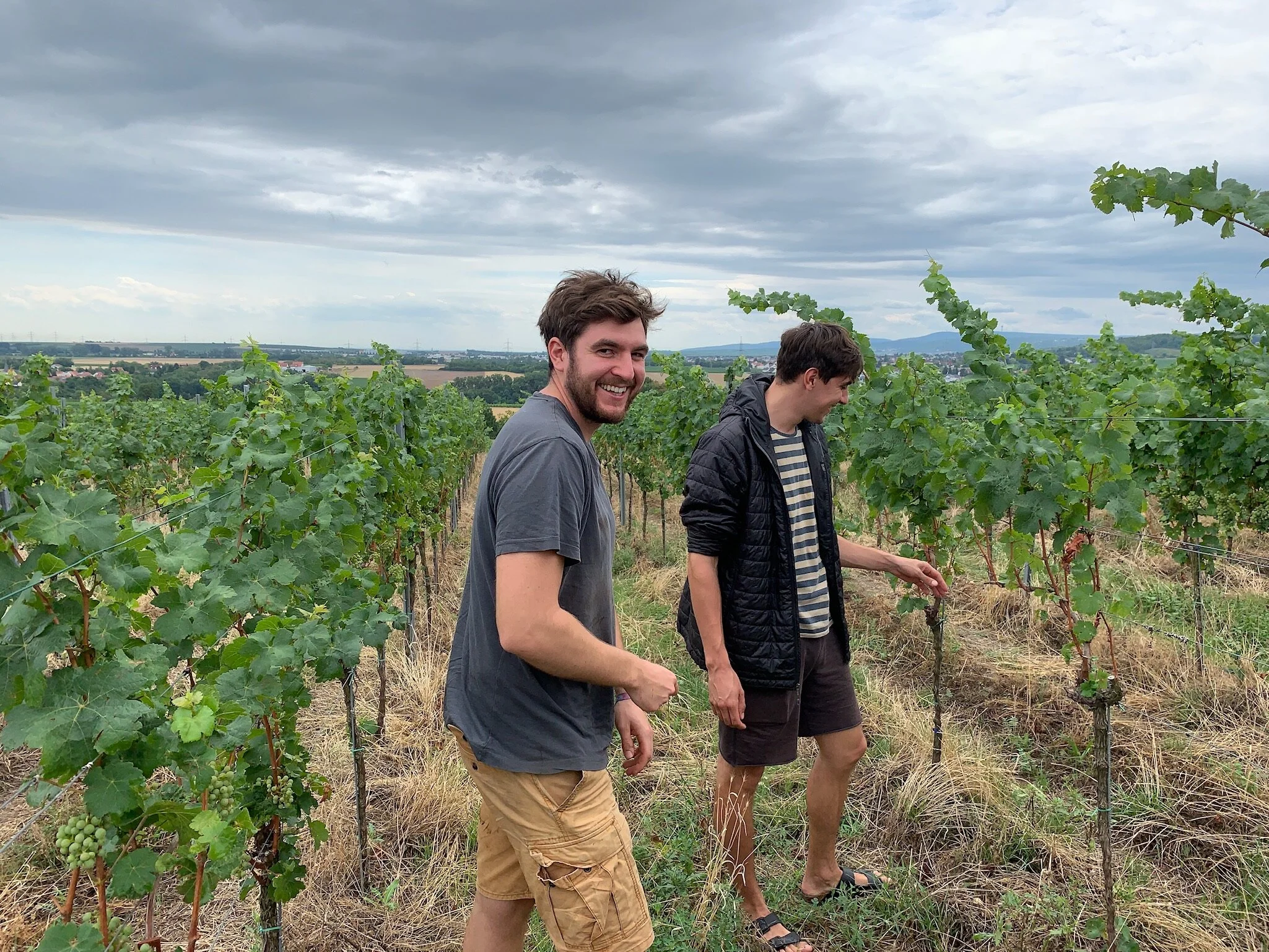 Making a Monster: Wilder Satz 2020